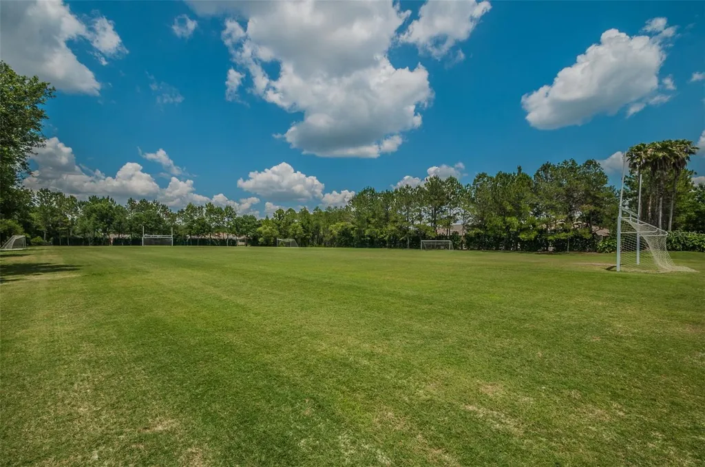 4084 Ligustrum Drive Palm Harbor FL 34685