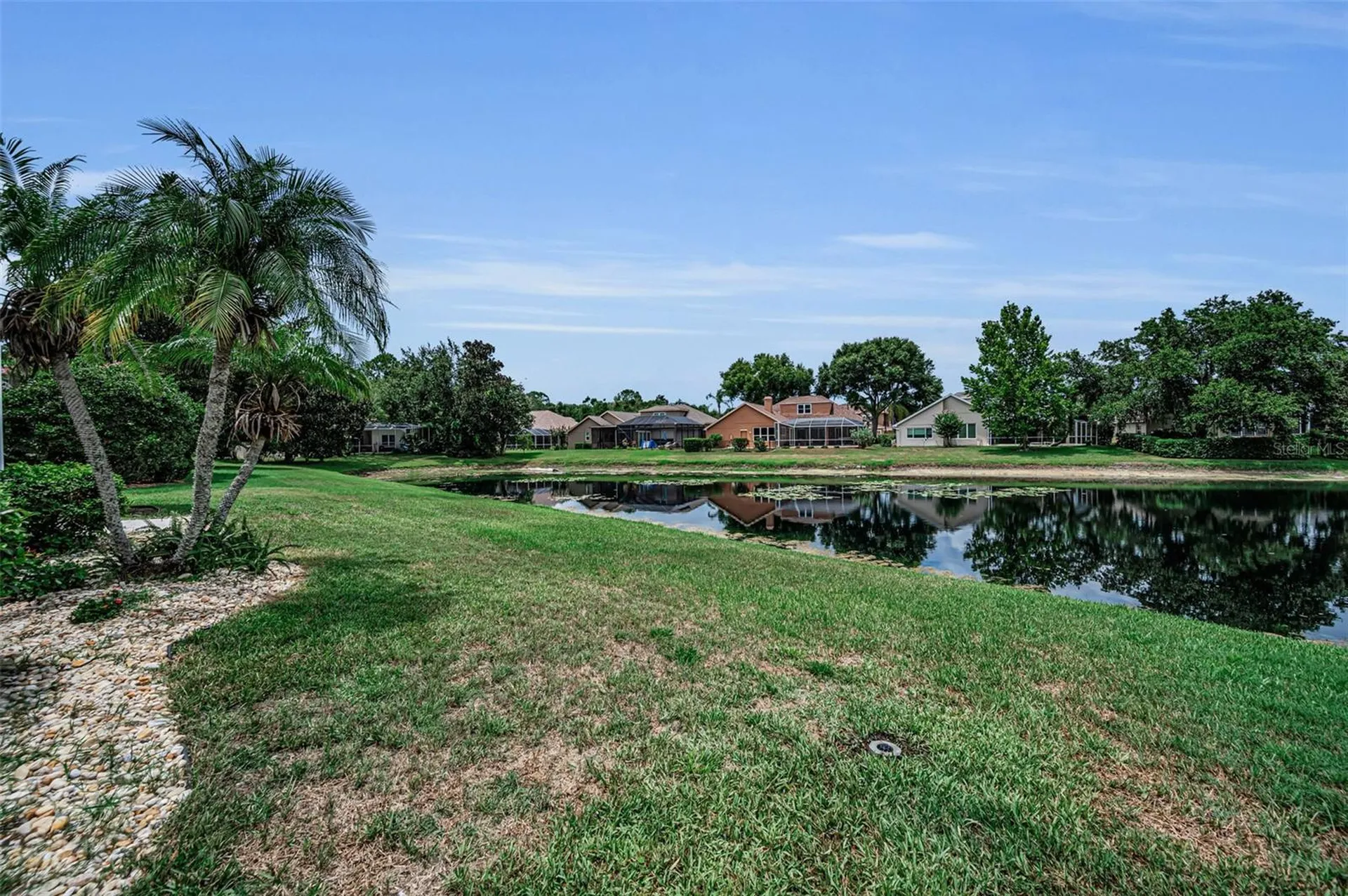 4084 Ligustrum Drive Palm Harbor FL 34685