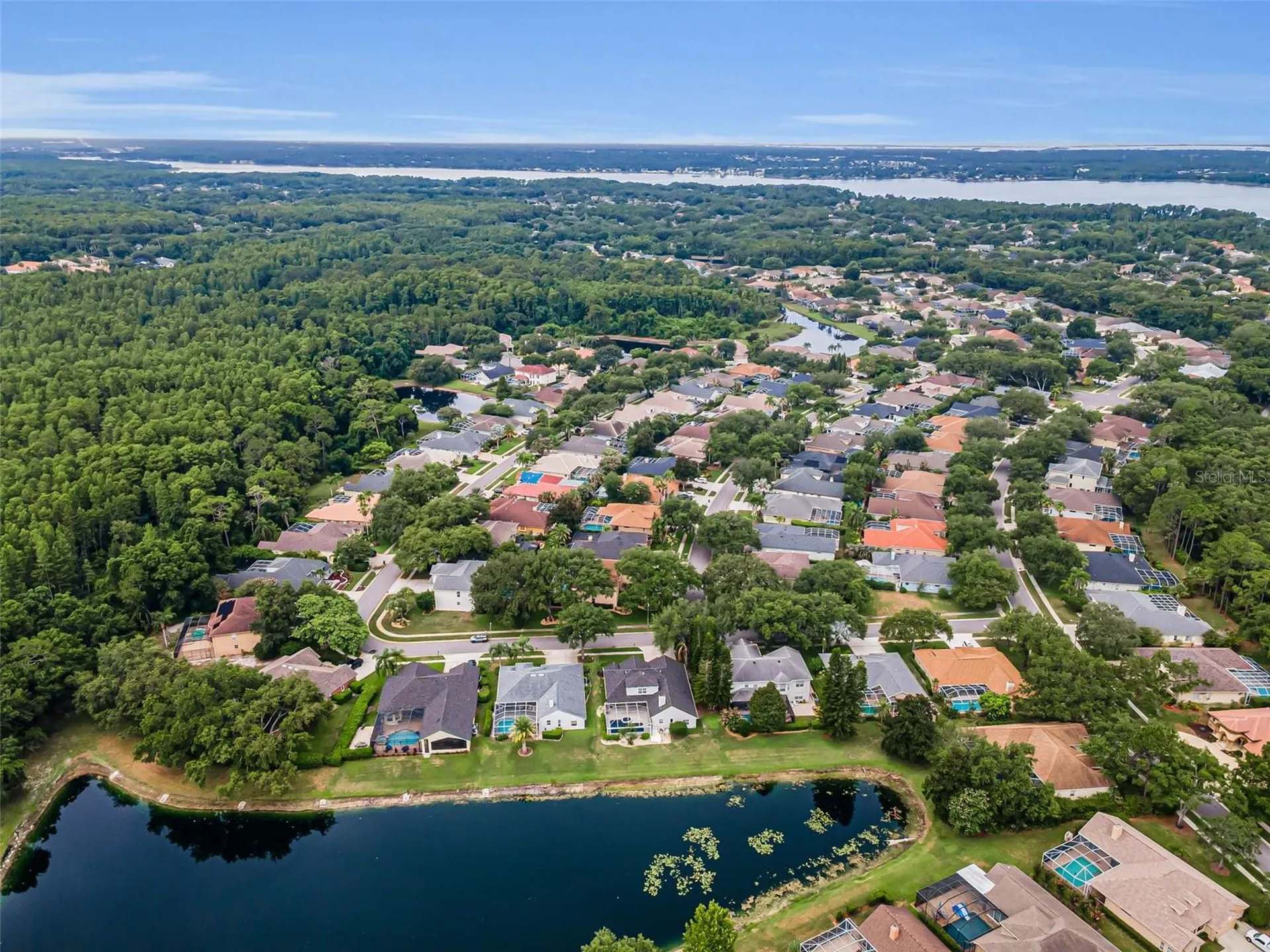4084 Ligustrum Drive Palm Harbor FL 34685
