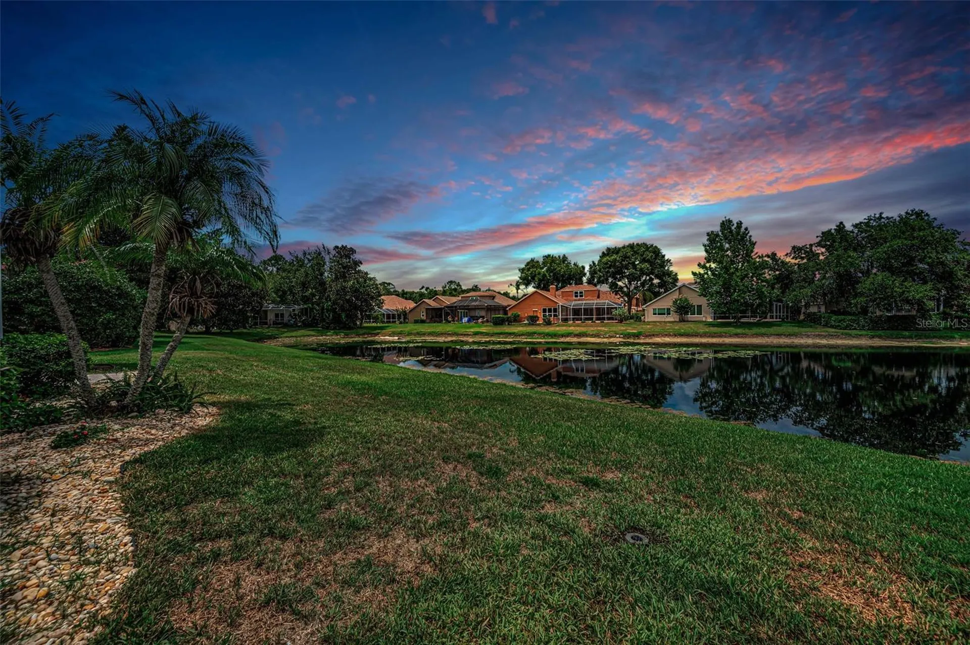4084 Ligustrum Drive Palm Harbor FL 34685