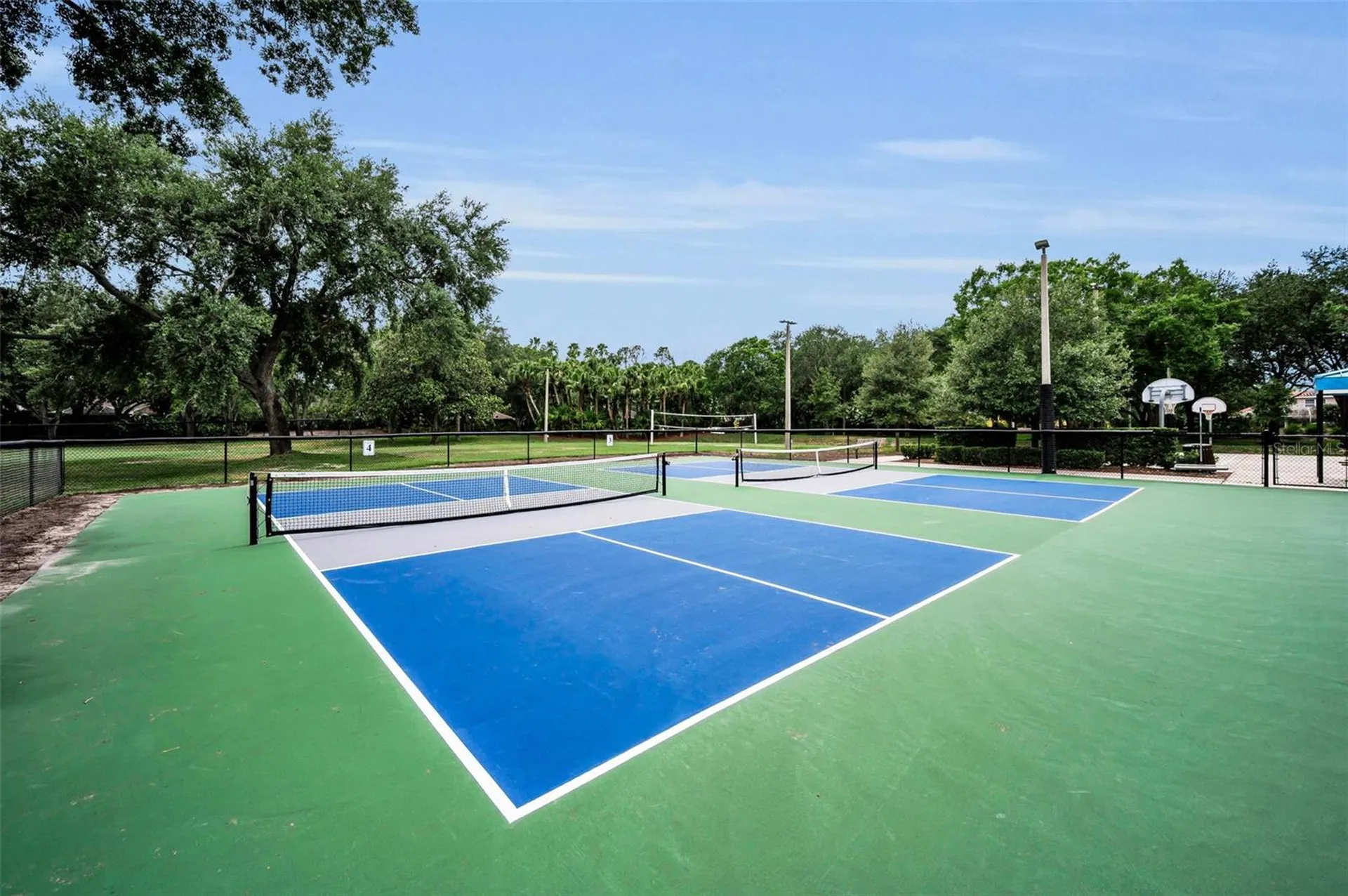 4084 Ligustrum Drive Palm Harbor FL 34685