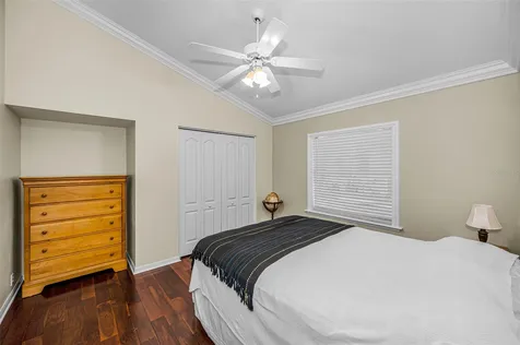 4084 Ligustrum Drive Palm Harbor FL 34685
