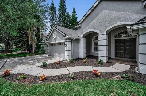 4084 Ligustrum Drive Palm Harbor FL 34685
