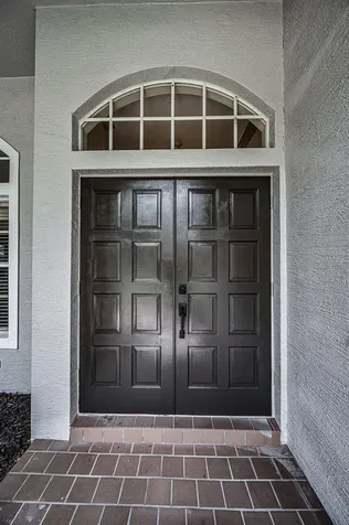 4084 Ligustrum Drive Palm Harbor FL 34685