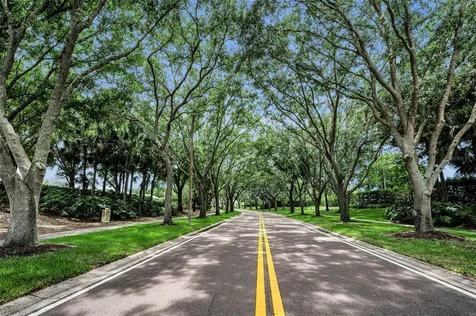 4084 Ligustrum Drive Palm Harbor FL 34685