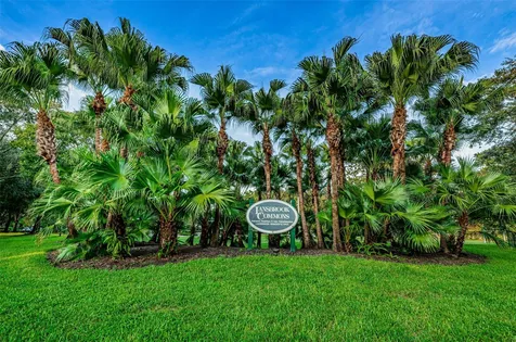 4084 Ligustrum Drive Palm Harbor FL 34685