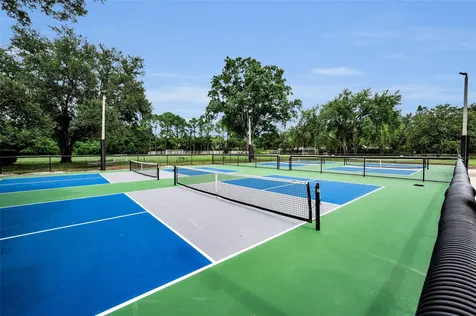 4084 Ligustrum Drive Palm Harbor FL 34685
