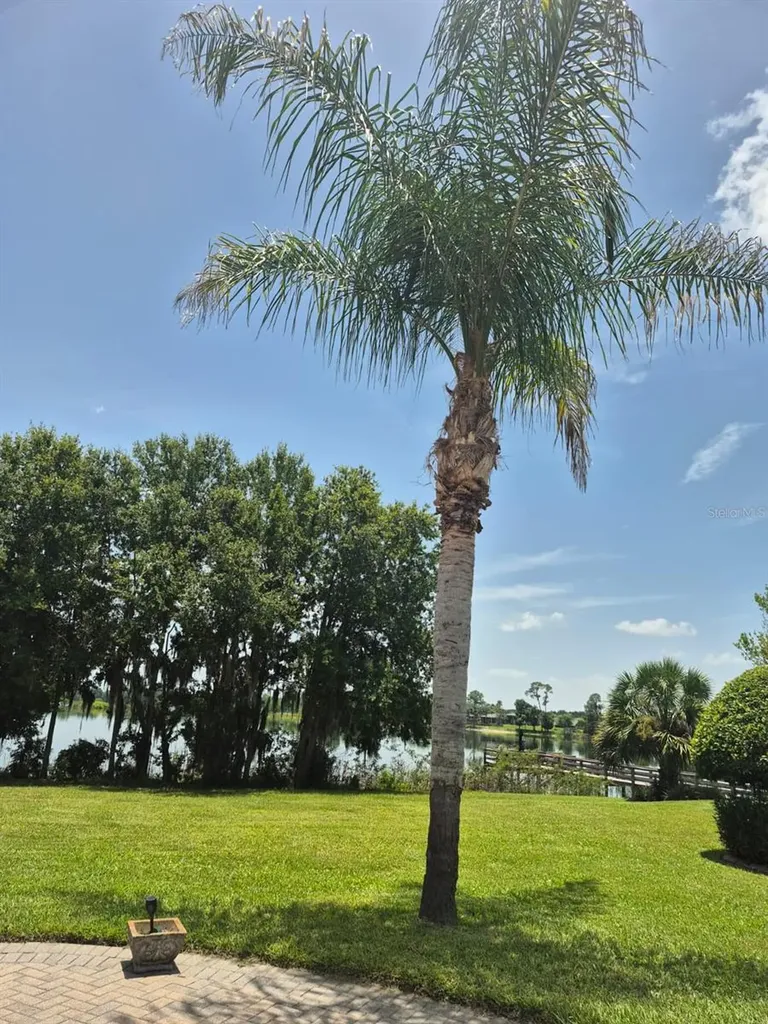 389 Nolane Lane Polk City FL 33868