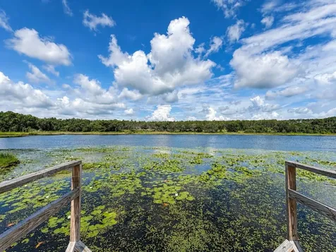16758 SE 181st Terrace Weirsdale FL 32195