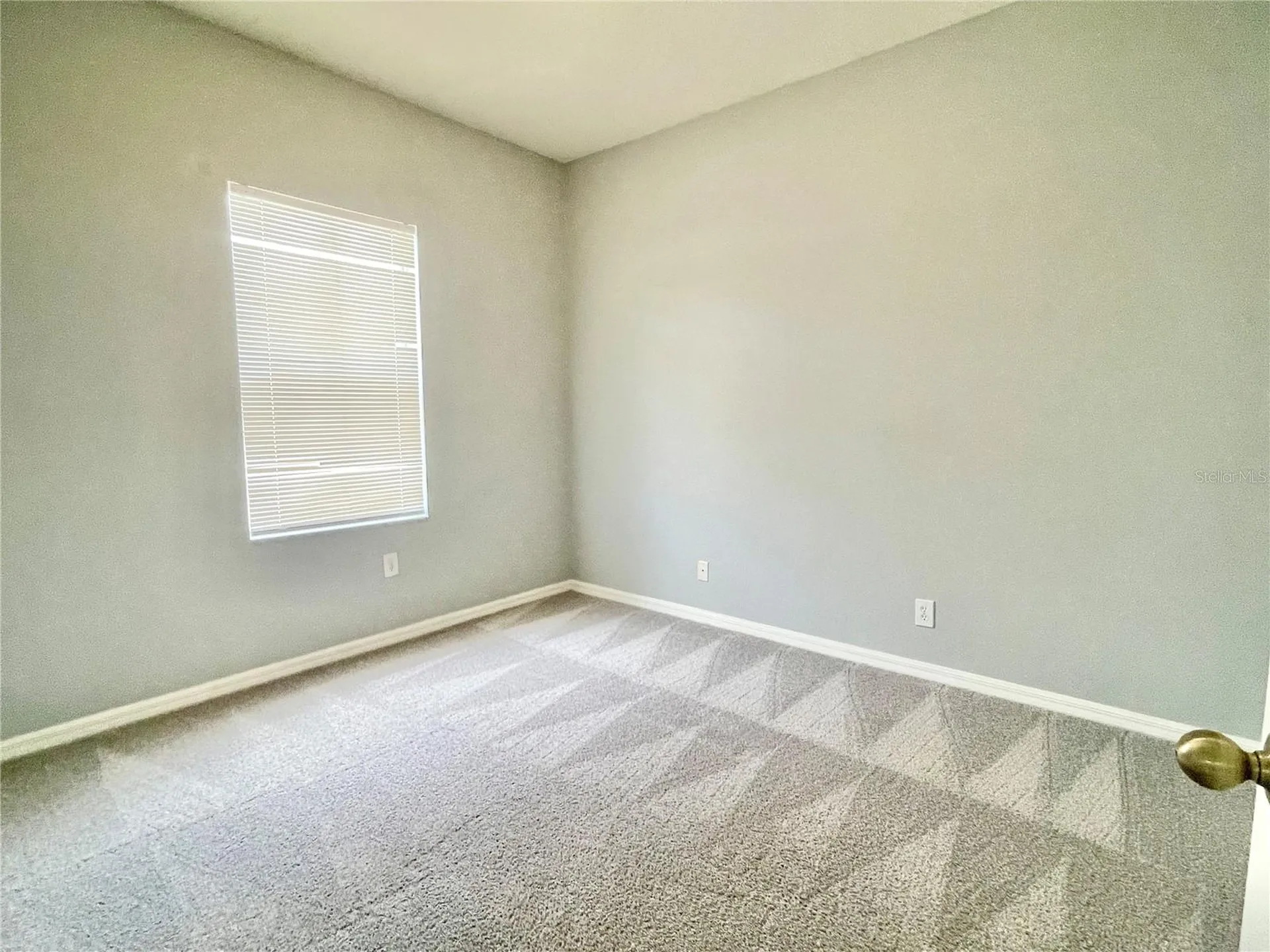 24652 Portofino Drive Lutz FL 33559