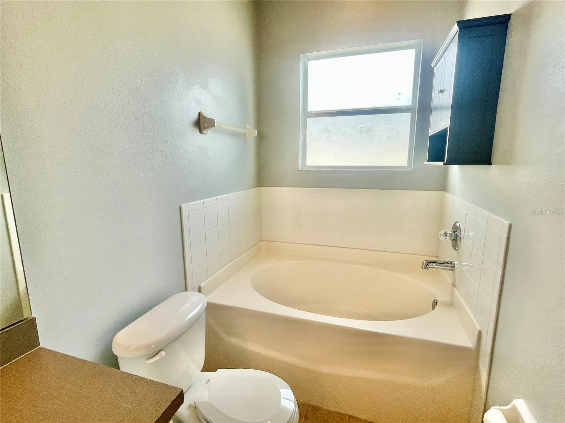 24652 Portofino Drive Lutz FL 33559