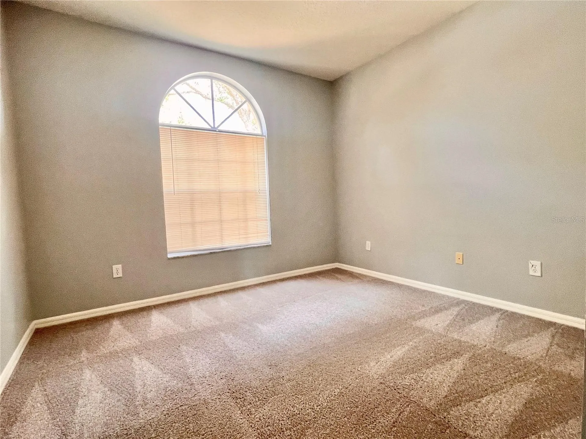 24652 Portofino Drive Lutz FL 33559
