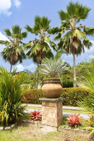 393 Monte Carmelo Vieques PR 00765