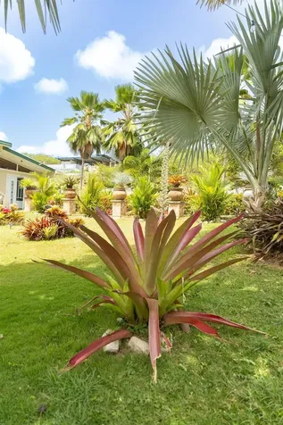 393 Monte Carmelo Vieques PR 00765