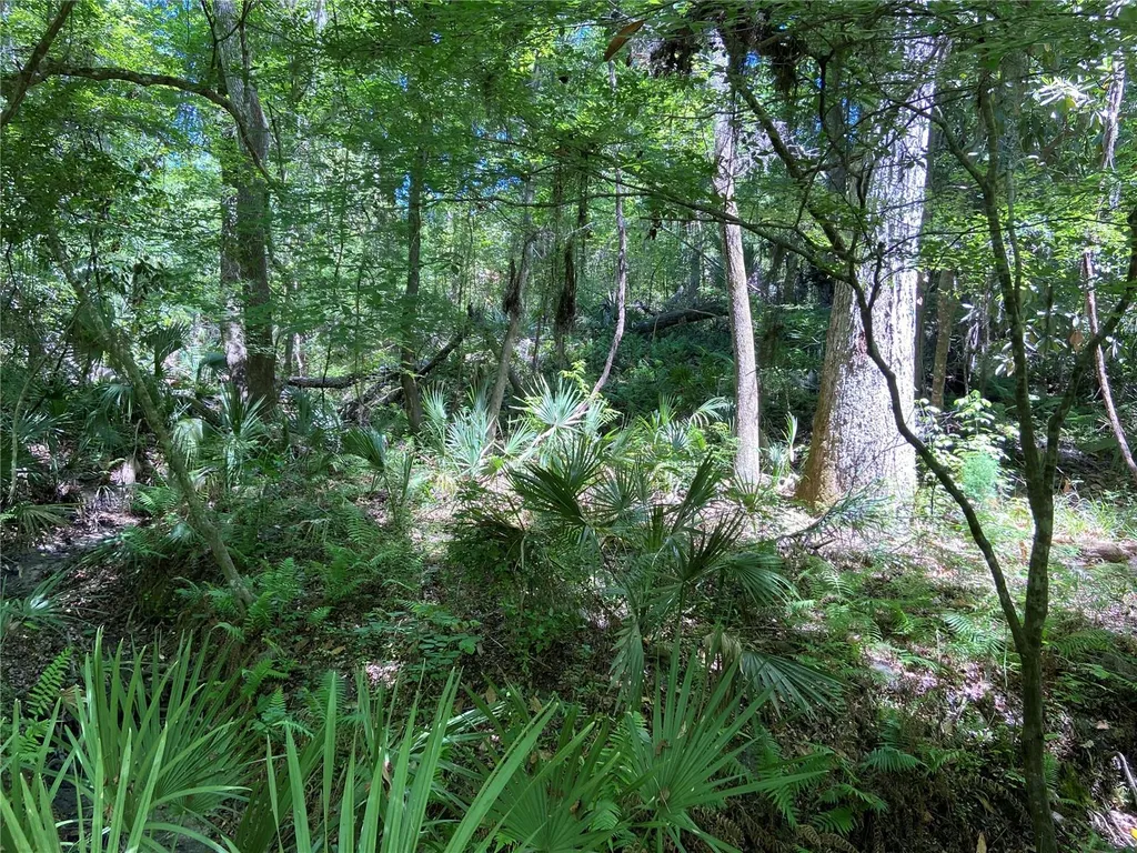 3202 NW 14th Street Gainesville FL 32605