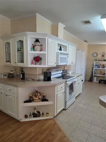 4025 Myrtle Oak Court Zellwood FL 32798
