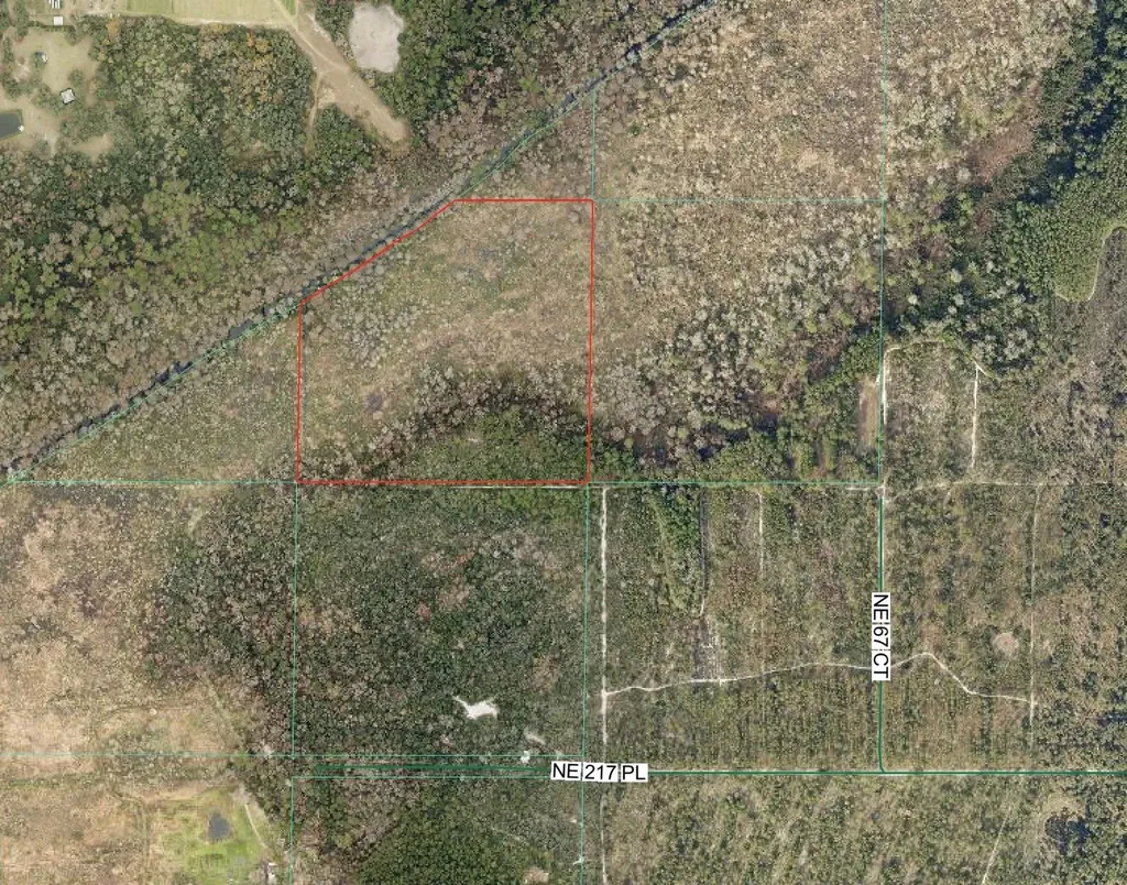 0 NE 217th Place Citra FL 32113