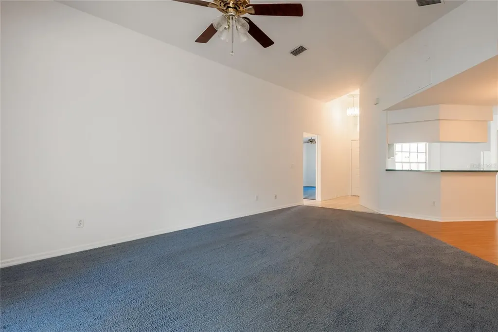 1914 Woodcut Drive Lutz FL 33559