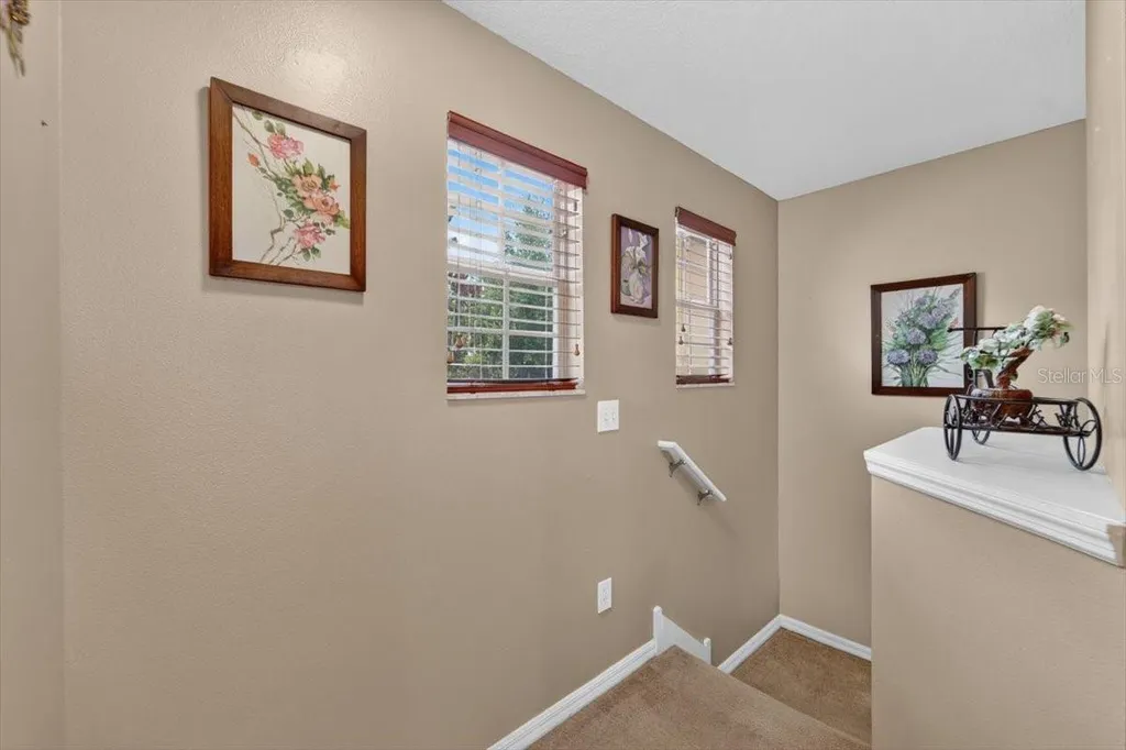 4582 Limerick Drive Tampa FL 33610