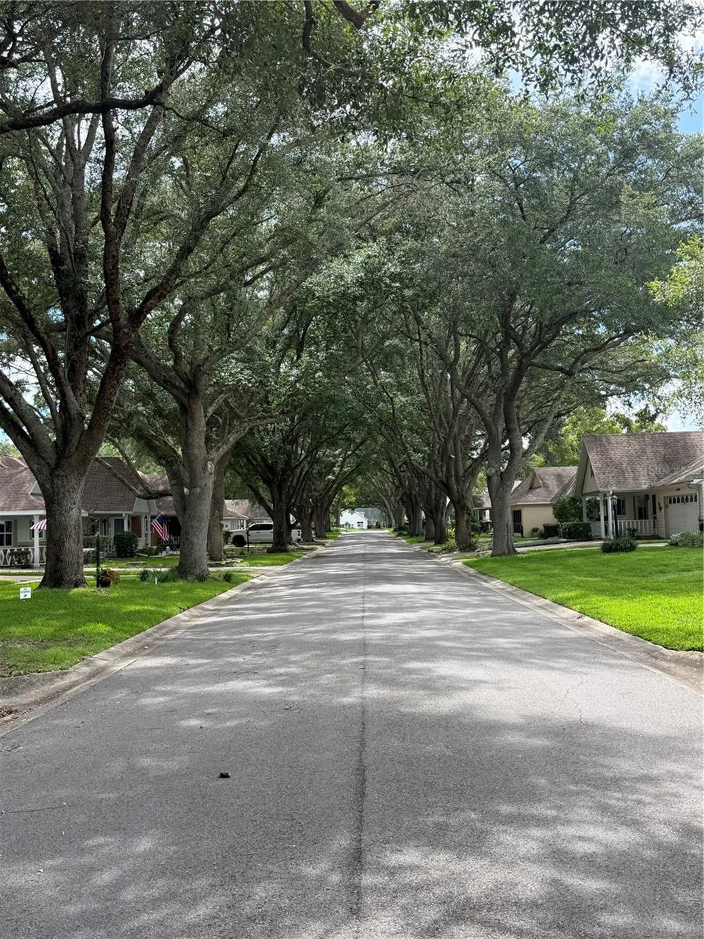 8591 SW 93rd Place Ocala FL 34481