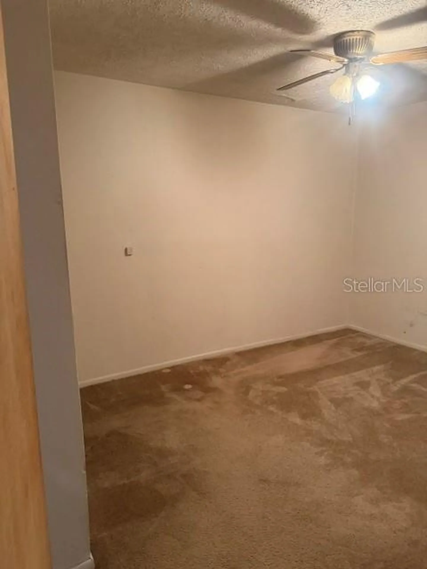 8705 N Wick Place Tampa FL 33604