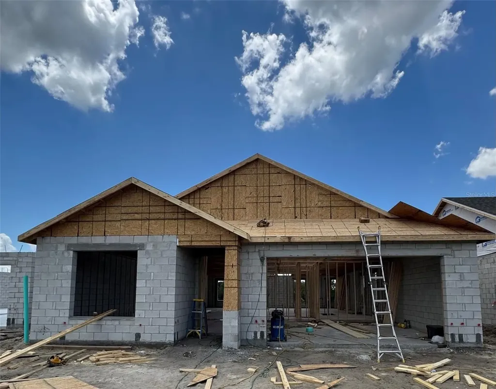 30241 Rustic Mill Street Mount Dora FL 32757