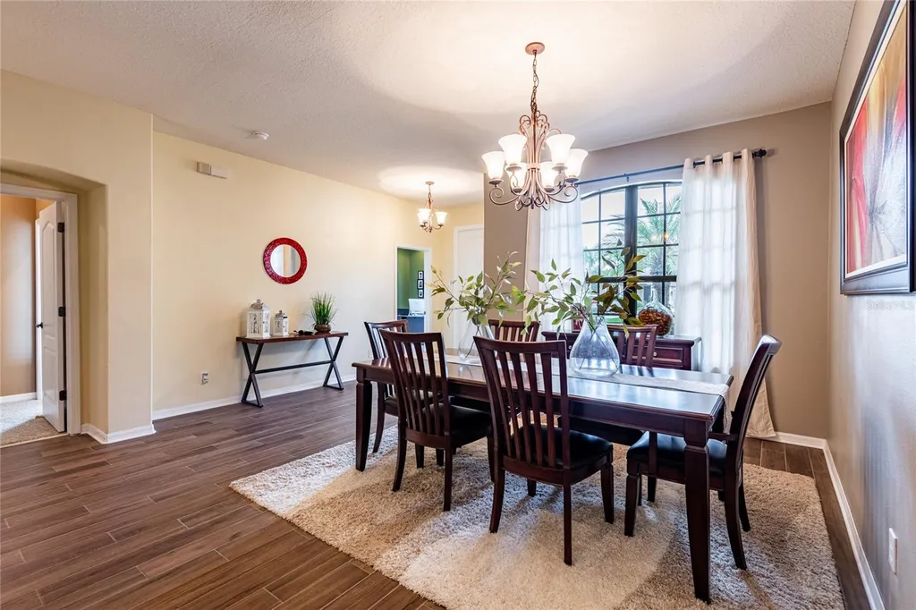 14815 Ninebark Court Land O Lakes FL 34638