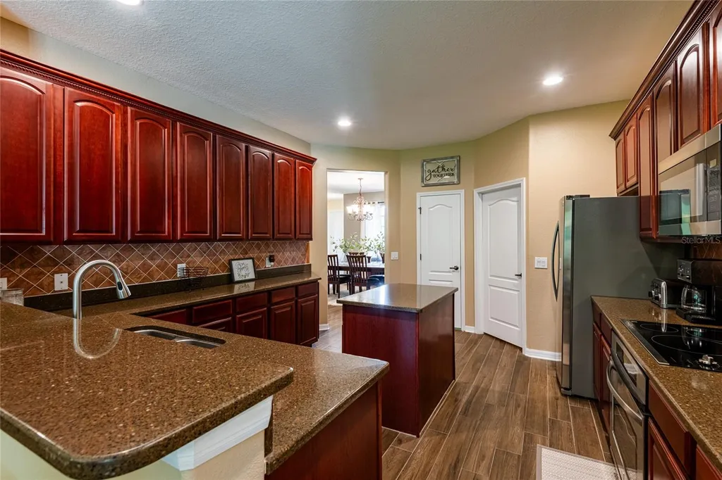 14815 Ninebark Court Land O Lakes FL 34638