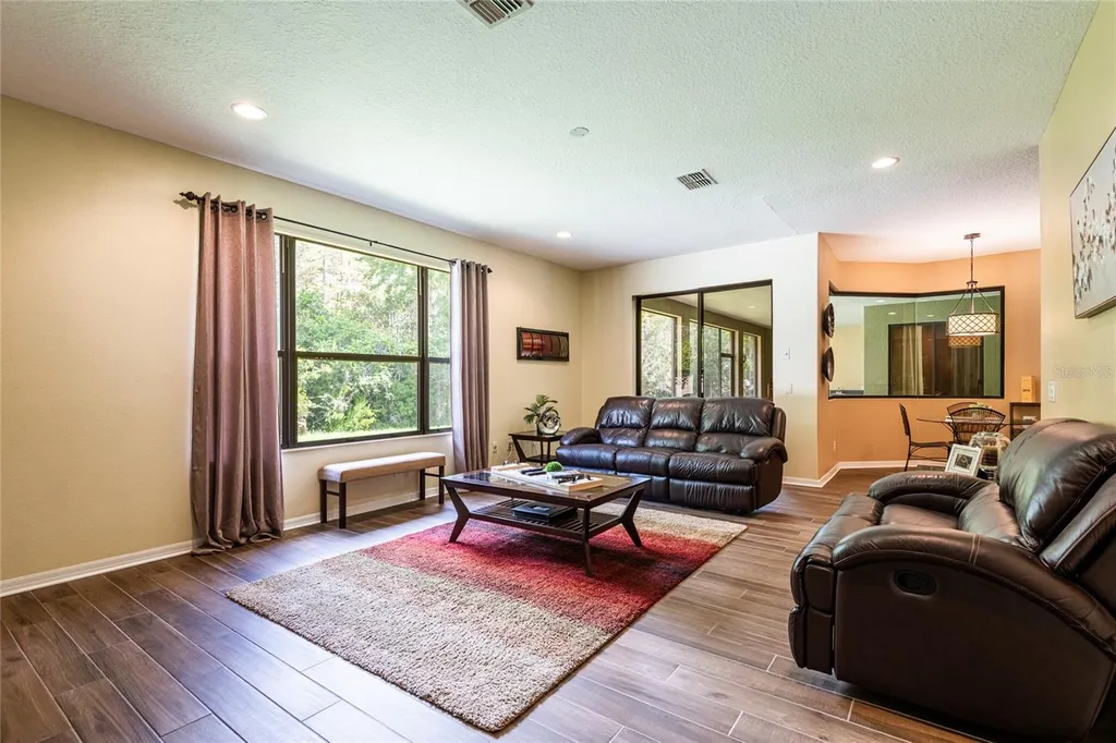 14815 Ninebark Court Land O Lakes FL 34638