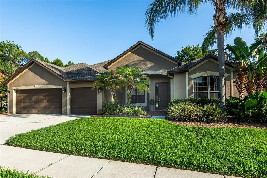 14815 Ninebark Court Land O Lakes FL 34638