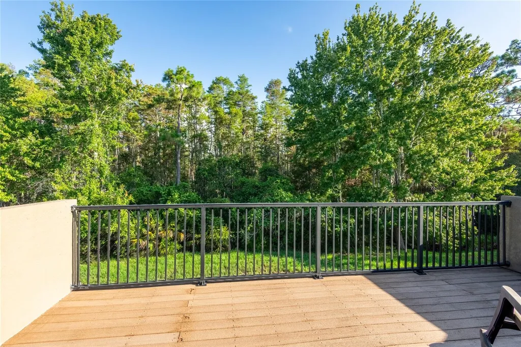 14815 Ninebark Court Land O Lakes FL 34638