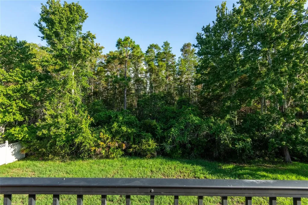 14815 Ninebark Court Land O Lakes FL 34638