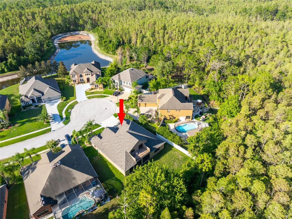 14815 Ninebark Court Land O Lakes FL 34638