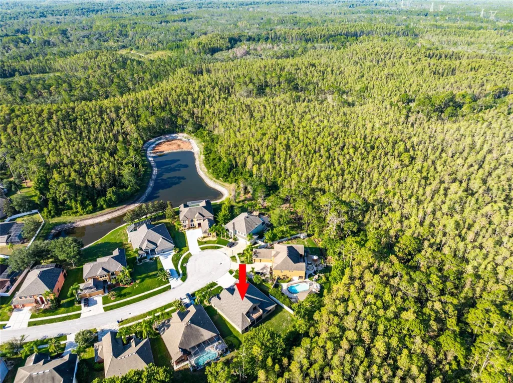 14815 Ninebark Court Land O Lakes FL 34638