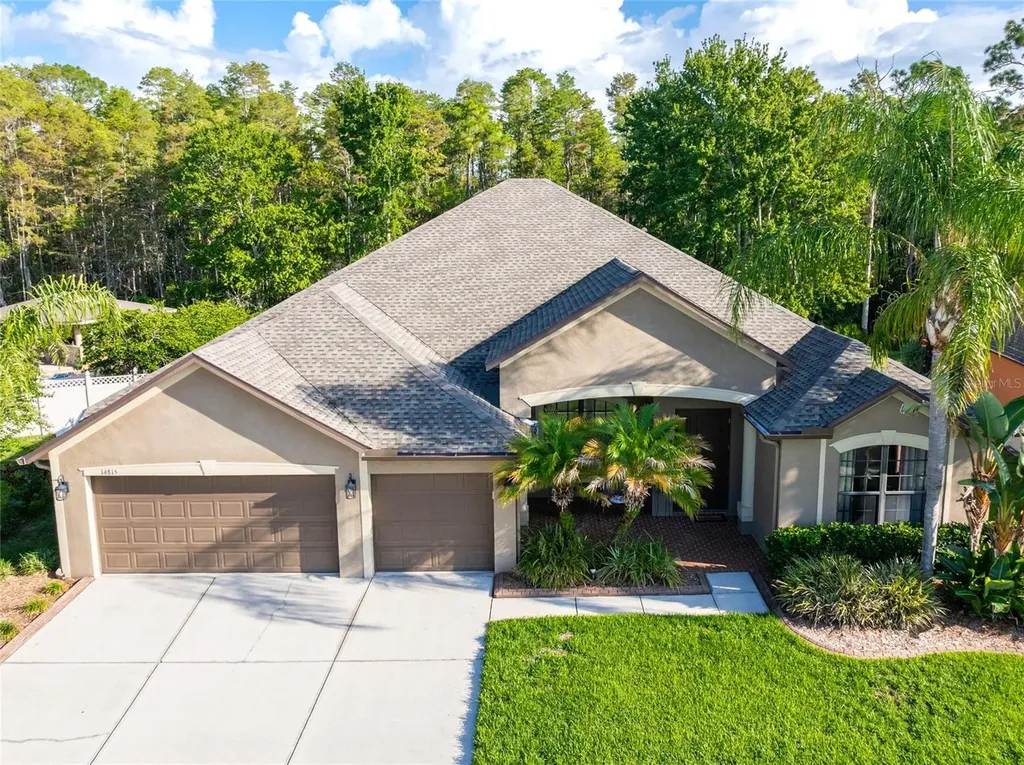 14815 Ninebark Court Land O Lakes FL 34638