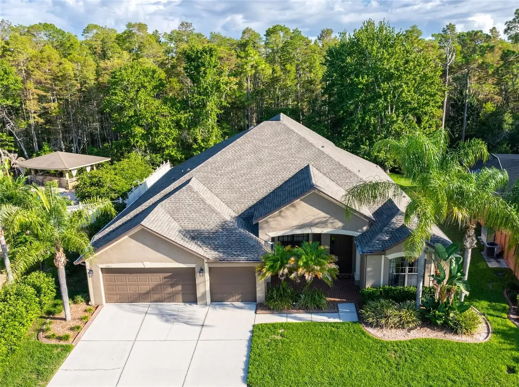 14815 Ninebark Court Land O Lakes FL 34638