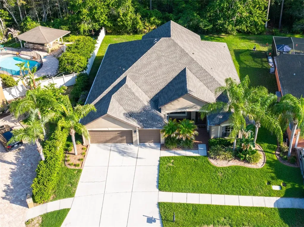 14815 Ninebark Court Land O Lakes FL 34638