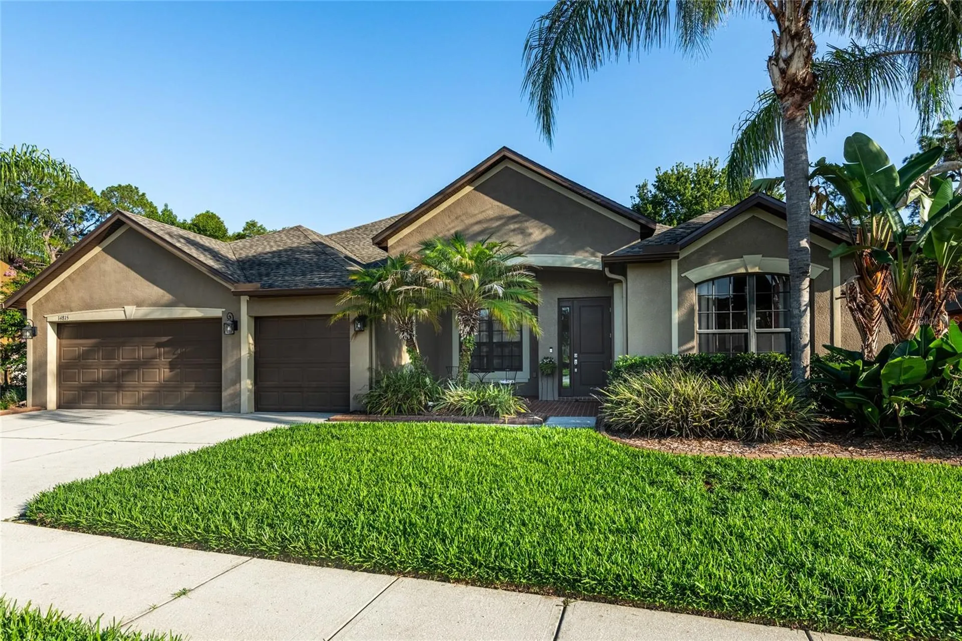 14815 Ninebark Court Land O Lakes FL 34638