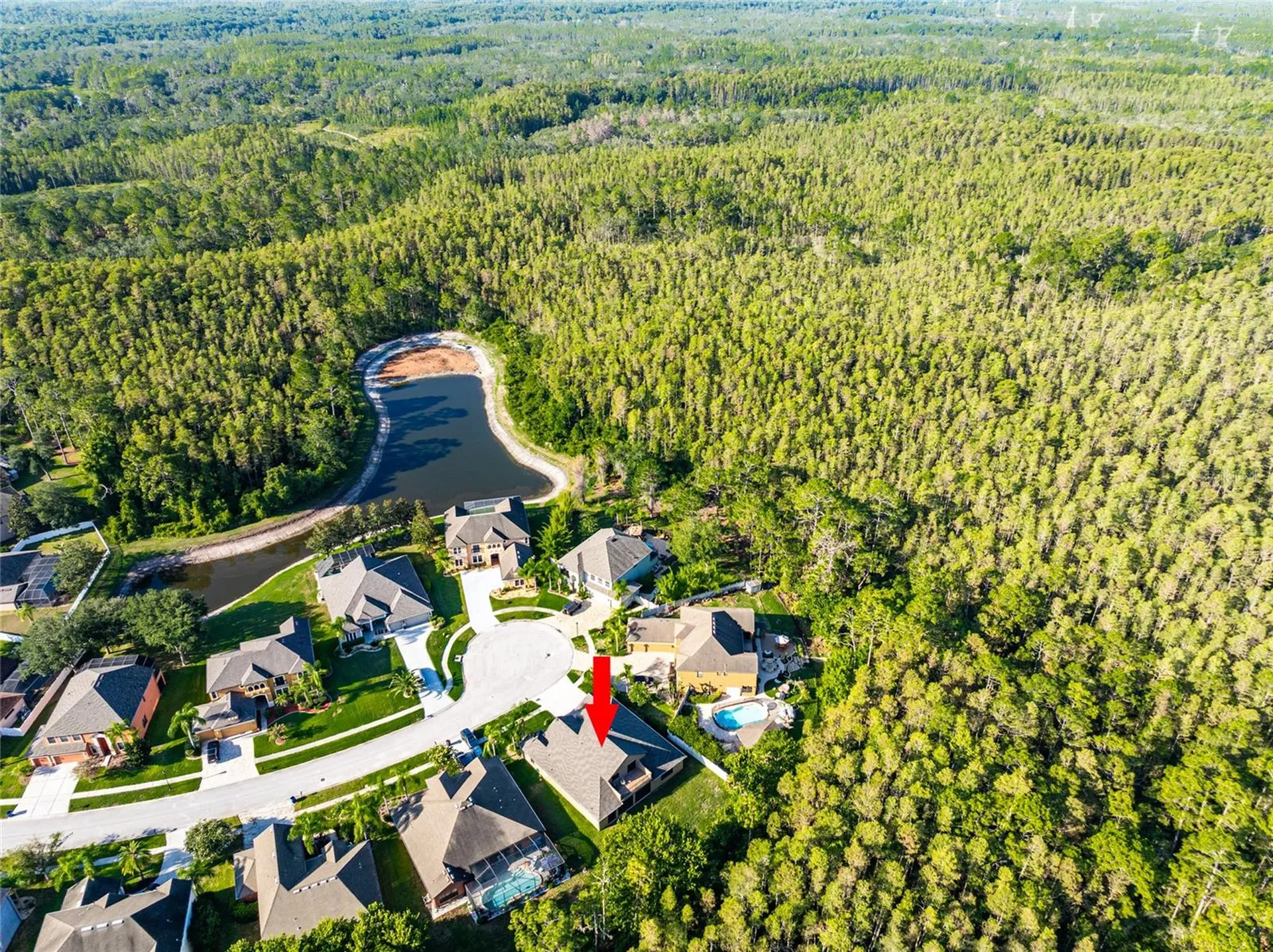 14815 Ninebark Court Land O Lakes FL 34638