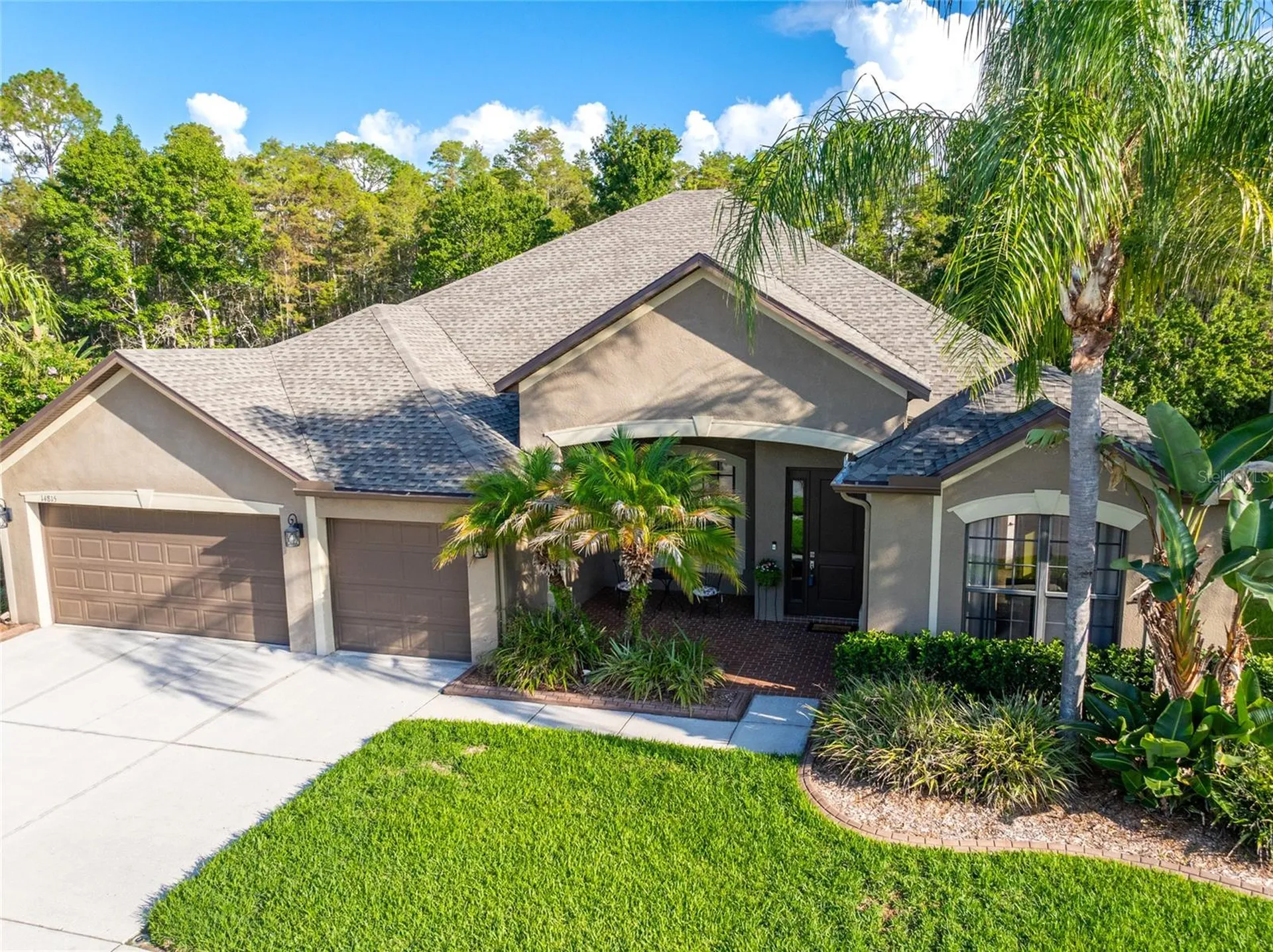14815 Ninebark Court Land O Lakes FL 34638