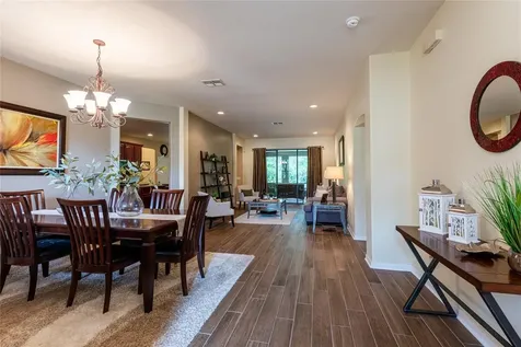 14815 Ninebark Court Land O Lakes FL 34638