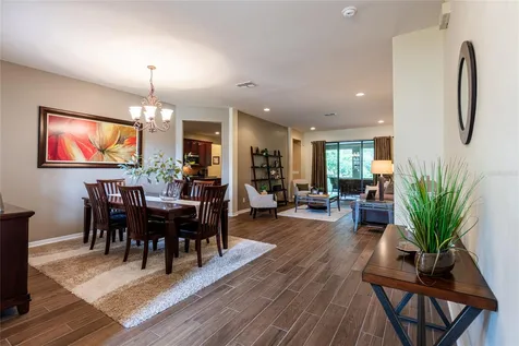 14815 Ninebark Court Land O Lakes FL 34638