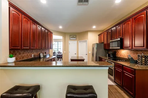 14815 Ninebark Court Land O Lakes FL 34638