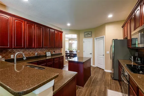 14815 Ninebark Court Land O Lakes FL 34638