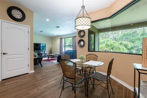 14815 Ninebark Court Land O Lakes FL 34638