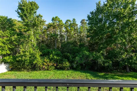 14815 Ninebark Court Land O Lakes FL 34638