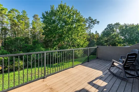 14815 Ninebark Court Land O Lakes FL 34638