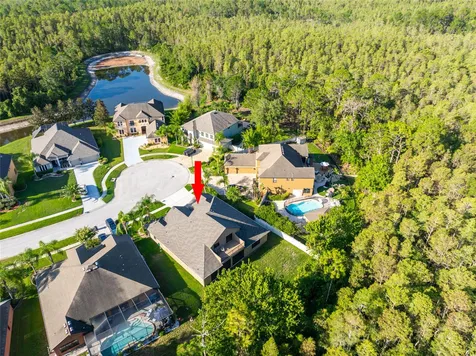 14815 Ninebark Court Land O Lakes FL 34638