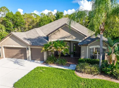14815 Ninebark Court Land O Lakes FL 34638