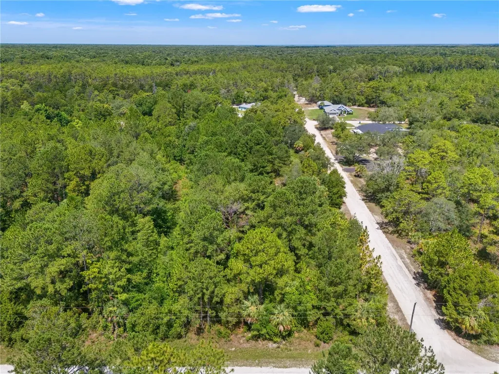 Ramsey Road Weeki Wachee FL 34614